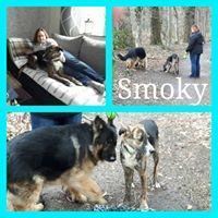 SMOKY SMOKY