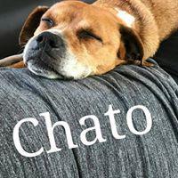 CHATO CHATO