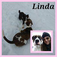 LINDA LINDA
