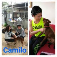 CAMILO CAMILO
