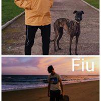 FIU FIU