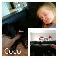 COCO COCO