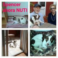 SPENCER SPENCER