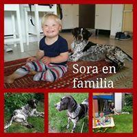 SORA SORA