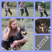 LESTER LESTER