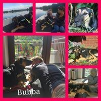 BUBBA BUBBA