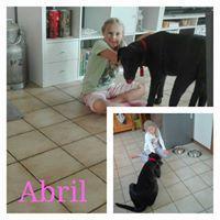 ABRIL ABRIL