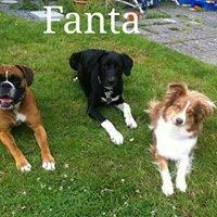 FANTA FANTA