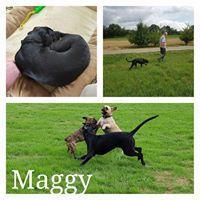 MAGGY MAGGY