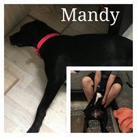 MANDY MANDY