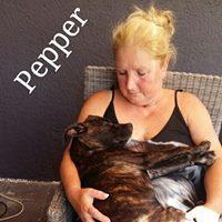 PEPPER PEPPER
