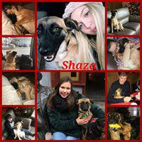 SHAZA SHAZA