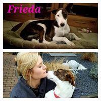 FREIDA FREIDA