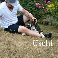 UCHI UCHI