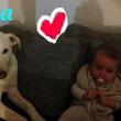 LUCA