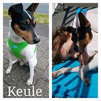 KUELE KUELE