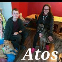 ATOS ATOS