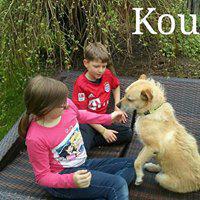 KOURTNY KOURTNY