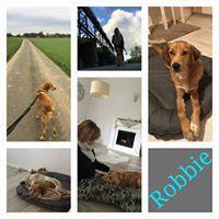 ROBBIE ROBBIE