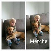 MERCHE MERCHE