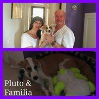 PLUTO PLUTO