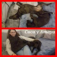 CUCA CUCA