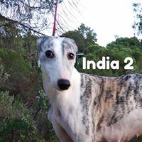 INDIA 2