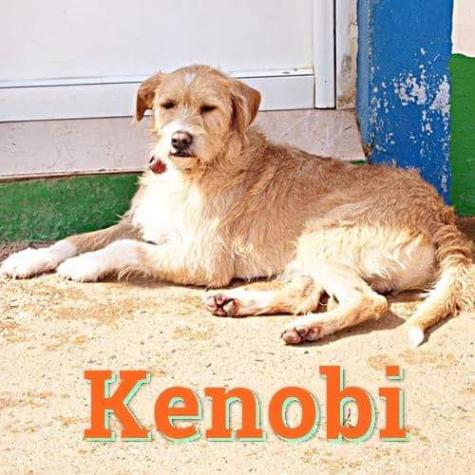 KENOBI