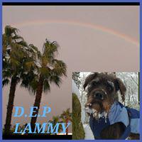 Corre por las nubes Lammy!