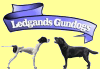 http://www.ledgands.co.uk/stud/index.php Pointer Rescue Service