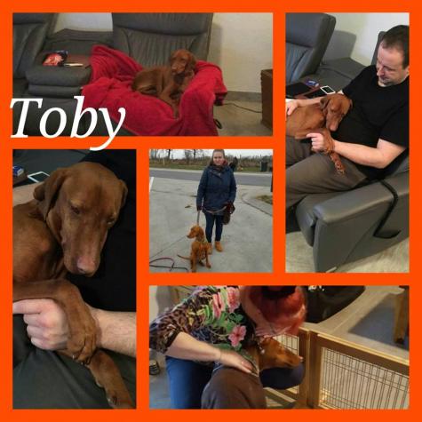 TOBY