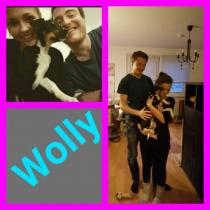 WOLLY