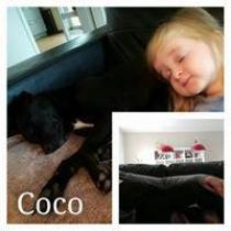 COCO