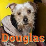 DOUGLAS