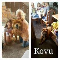 KOVU