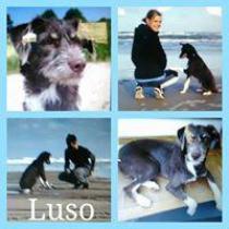 LUSO