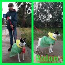 ROLAN