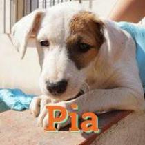 PIA