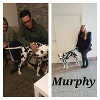 MURPHY