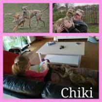 CHIKI