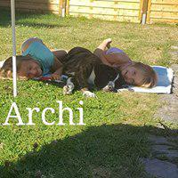 ARCHI