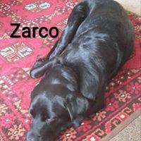 ZARCO