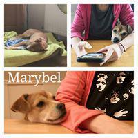 MARYBEL