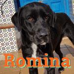 ROMINA