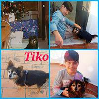 TIKO