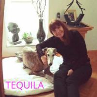 TEQUILA 