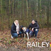 RAILY