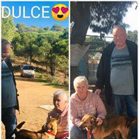 DULCE