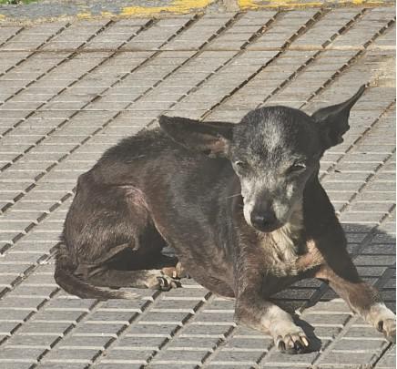 GITANA