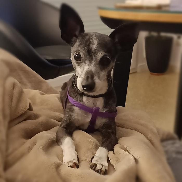 GITANA